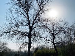 -北京亚布洛尼朝阳公园滑雪场