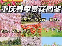-南山植物园