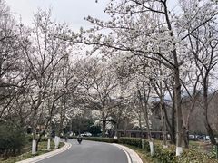 -音乐台