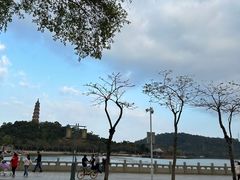 -顺峰山公园