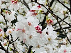 -暖心派对·独栋别墅团建聚会轰趴馆
