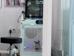 -爱洗澡的猫(望京店)