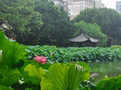 -光明港公园
