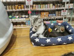 -狗道宠物(常熟印象城店)