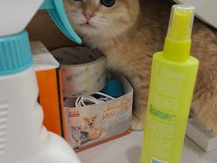 -艾贝尔宠物医院·宠保定点·超声绝育·免疫点(樱花路店)