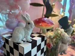 -瑞贝生日派对宝宝宴策划