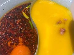 -青瓷火锅料理(西单大悦城店)