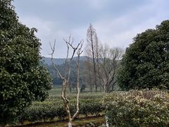 -北高峰