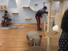 -猫冇咖·家门口的撸猫馆(大融城店)