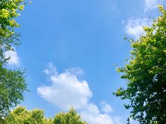 -西青郊野公园