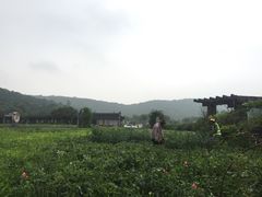 -龙寺生态园