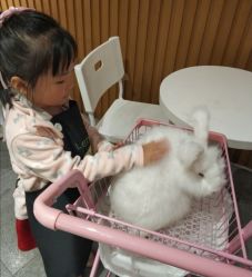 -萌兔星空蹦床撸兔馆