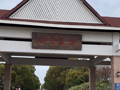 -上海都市菜园