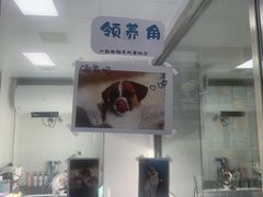 -宠颐生动物医院·心脏科·保险定点(锦阳分院)