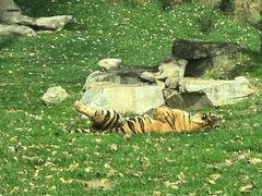 -北京野生动物园