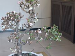 -正清和·推拿养生(二七广场店)