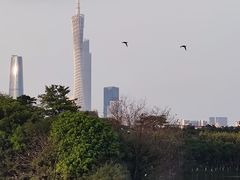 -海珠湖公园