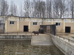 -合肥野生动物园