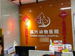 -瑞派福兴宠物医院犬猫全科·骨科·中西医结合(河东店)