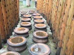 -南宁良凤江国家森林公园