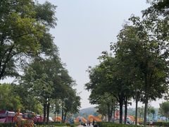 -廊坊文化艺术中心