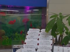 -雅悦齿科(顾村公园店)