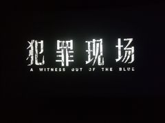 -幸福蓝海国际影城(南京商厦店)