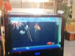 -顺水鱼馆(克西路店)