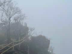 -牛背梁国家森林公园