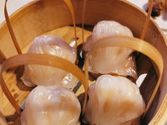 -金鼎轩(亚运村店)