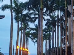 -亚龙湾红树林度假酒店-韩轩韩餐厅