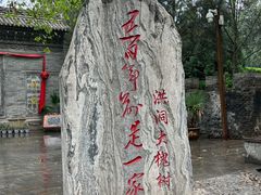 -大槐树寻根祭祖园