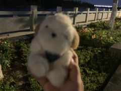-伊犁河景区