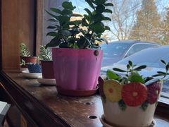 -高丽屋(天宁寺店)