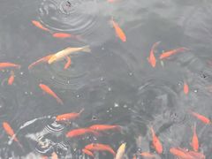 -东山风景区(洞庭东山)