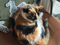 -BUND·FIVE外滩5号(天际店)