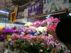 -花鸟鱼虫鲜花绿植市场(玉泉路店)