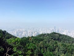 -南山植物园