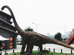 -恐龙探索乐园(磁器口店)
