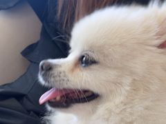 -怪兽屋·羊驼·猫咖·狗咖(俊华广场店)