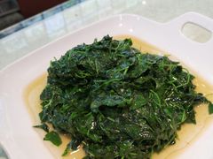 -阿巧一号私房菜(止园路店)