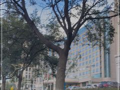 -威海铂丽斯国际大酒店(威海高铁站店)