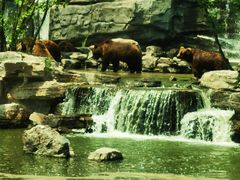 -北京野生动物园