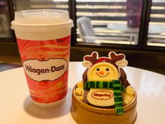 -哈根达斯(武汉天地店)