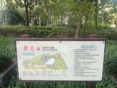 -陈家山荷花公园