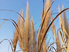 -相门城墙文化休闲景区