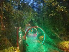 -天目湖涵田半山温泉