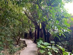 -小南山公园