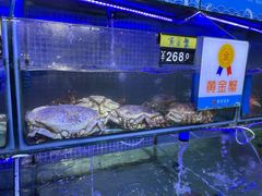 水产区-蟹老板的海鲜