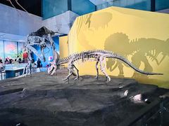 -湖南省地质博物馆